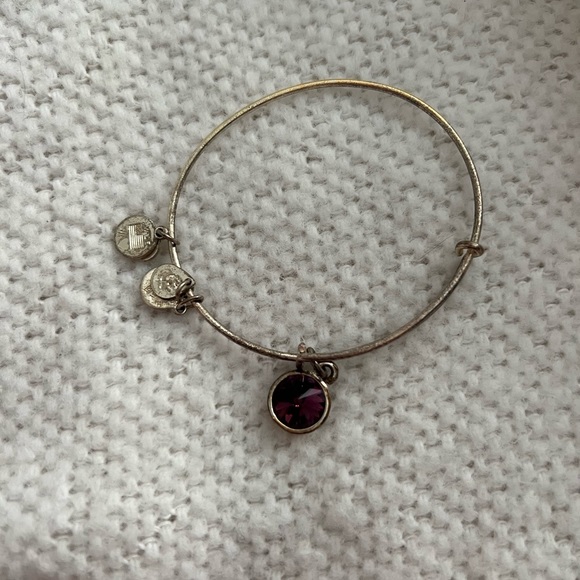 Alex and Ani Amethyst Bangle - Picture 3 of 3